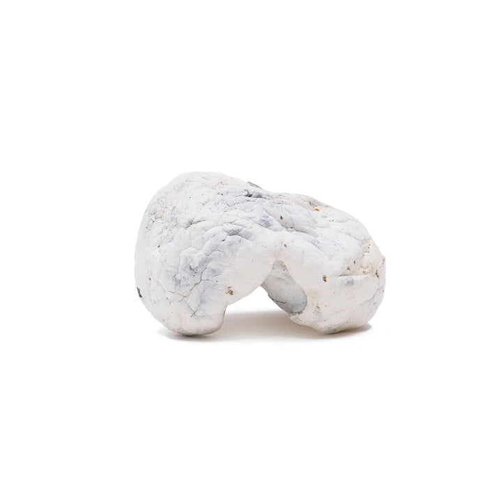 DRY SHROOMS | ALIEN BUBBLES