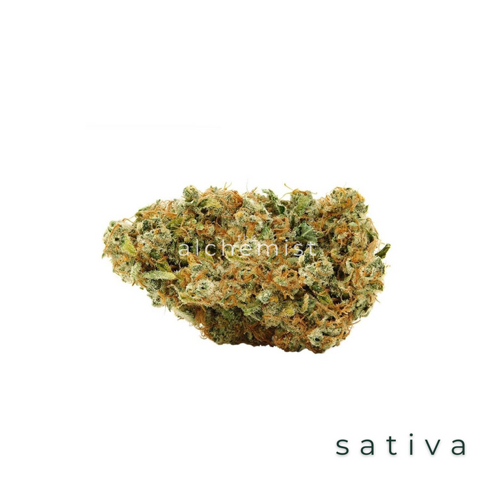 AAAA | SAUGE ET ACIDE - SATIVA