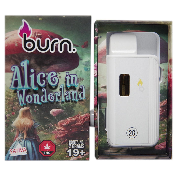 BURN. THC DISPOSABLE VAPE PEN | 2G