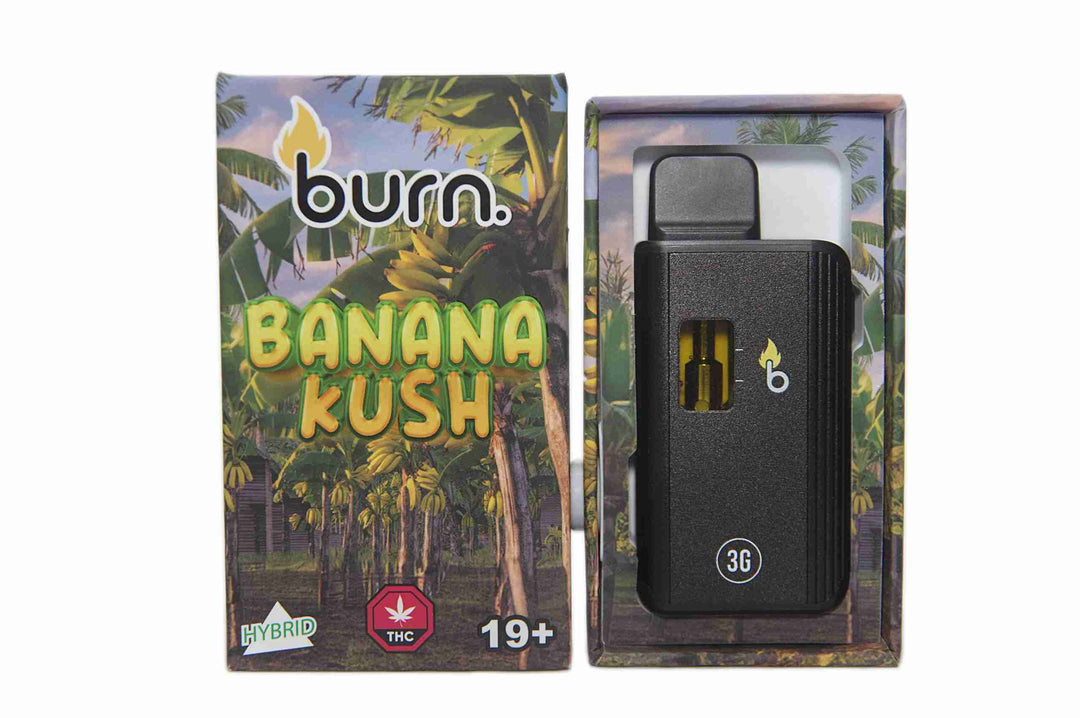 VAPE STYLO JETABLE AU THC | 3G