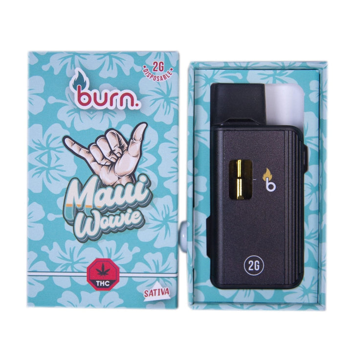 BURN. THC DISPOSABLE VAPE PEN | 2G