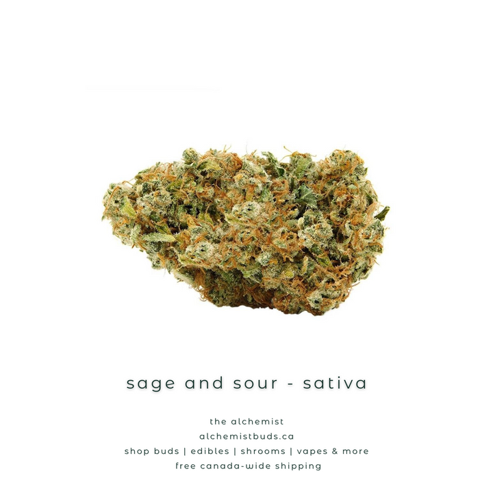 shop alchemistbuds.ca for best price on sage and sour strain