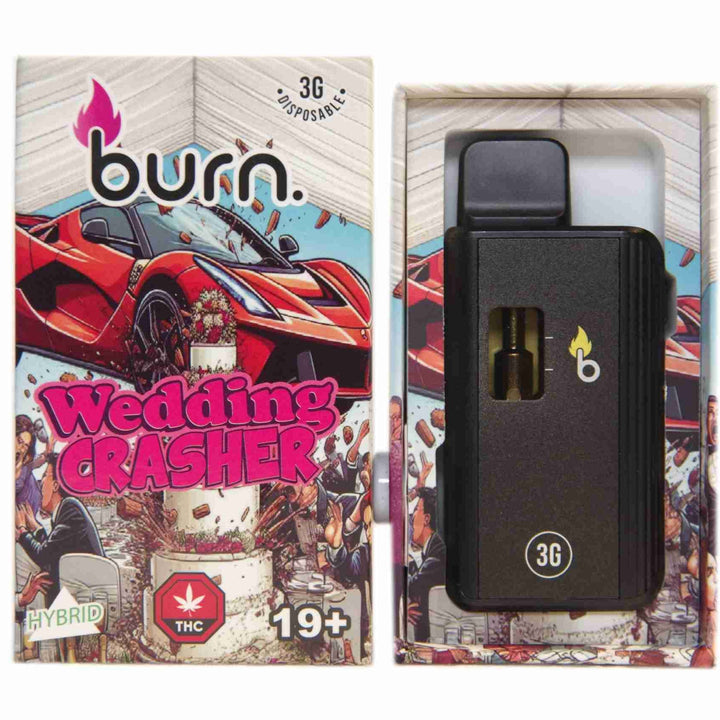 VAPE STYLO JETABLE AU THC | 3G